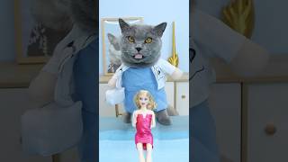 Help🥺 Can Dr Oscar Magically Heal The Broken Doll🩹🎀 catvideo catmemes trending [upl. by Atinaujnas]