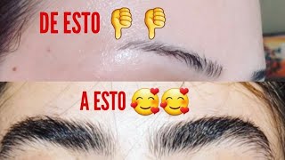 Cómo hacer crecer las cejas y pestañas en dos días Rosa M12 [upl. by Eeimaj378]