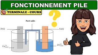 Fonctionnement dune pile  capacité électrique  CHIMIE  TERMINALE [upl. by Erotavlas]