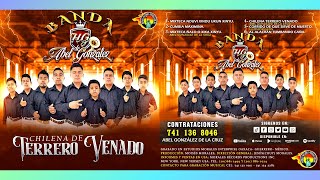 Banda HG De Abel Gonzalez  Chilena De Terrero Venado Album Completo Estreno 2024 [upl. by Steward]