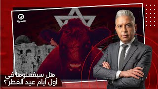 هل سيفعلوها في أول أيام عيد الفطر ؟ القصة الكاملة للبقرات الحمراء واقتحام المسجد الاقصى [upl. by Sergeant634]