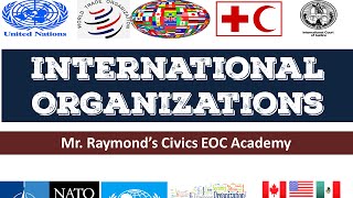 International Organizations  42 Governmental and NGOs  Benchmark Civics EOC [upl. by Ennywg]