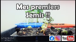 Mes premiers SEMIS  Québec  Février  Lancement de la nouvelle saison au potager [upl. by Ahsitram]