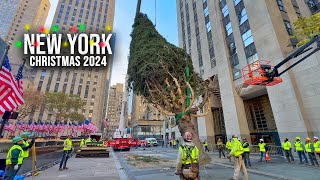 Installation Of NYC Rockefeller Center Christmas Tree 2024 ✨ New York City Christmas 2024 🌲 [upl. by Aro]