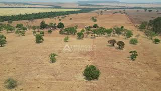 Fazenda à venda em Ituiutaba com 23 alqueires mineiros  Triangulo Mineiro  Minas Gerais [upl. by Akedijn930]