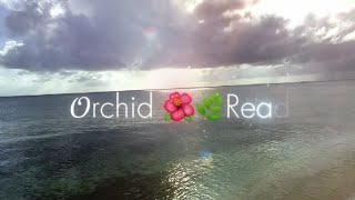 Relaxing sleeping 🌺🌿heart chakra cleansing meditation music amp sea sounds [upl. by Modesty844]