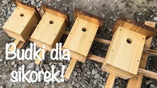 Budki lęgowe dla sikorek \ Nesting boxes for birds [upl. by Tlevesor]