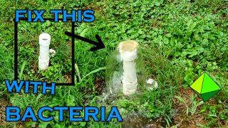 DIY Septic Tank Drain Field Restore Leach Bed Flush [upl. by Fogg]