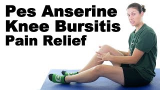 Pes Anserine Knee Bursitis Stretches amp Exercises  Ask Doctor Jo [upl. by Allesiram557]