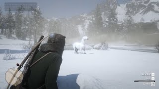 RDR 2 How To Find Unique Fastest Horse [upl. by Ijic]