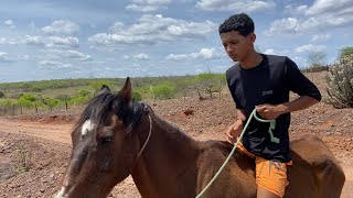 BRUTINHO MONTA NO CAVALO E LEVA UMA QUED4 FElA [upl. by Jotham]