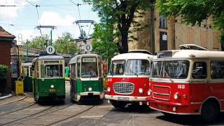 Tramwajem na Rataje  Małgorzata Borowska [upl. by Gale]