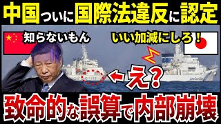 【ゆっくり解説】なぜ中国は致命的なミスにより国際法違反をし、絶望的な状況になってしまったのか [upl. by Viradis]