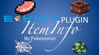 ItemInfo Minecraft Bukkit Plugin [upl. by Blythe]