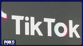 Federal appeals court upholds law requiring sale or ban of TikTok in the US [upl. by Ainnek]