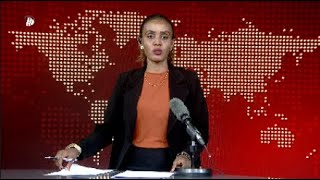 DW International አማርኛ ዜና ሰዓት 0130፣ 03 ህዳር 2016 ዓም\watch Live Streaming [upl. by Dymoke]