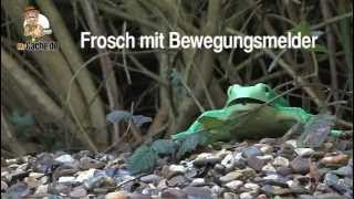 Frosch mit Bewegungsmelder  by MrCachede [upl. by Cilo]