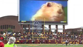 Dramatic Gopher at Gopher Football [upl. by Rexfourd787]