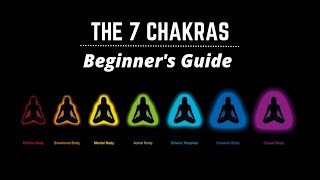 7 Chakras explained Beginners guide 101 [upl. by Cassella758]