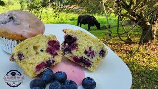 Blueberry Muffins  How to make Blueberry Muffins  100 Year Old Recipe  The Hillbilly Kitchen [upl. by Obeng]