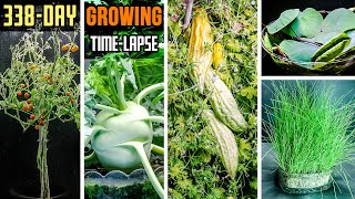 338 Days Growing Plants in 8 Minutes Time Lapse Compilation [upl. by Onaled]