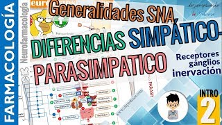 DIFERENCIAS entre sistema SIMPÁTICO Y PARASIMPÁTICO Aplicación clínicaNEUROFARMACOLOGÍA INTRO P2 [upl. by Yeslehc]