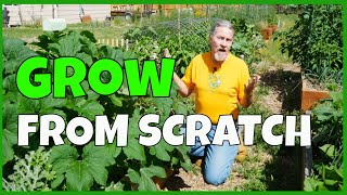 How to Start a Garden in 2023 from Scratch [upl. by Jerad]