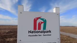 Nationalpark Schild Neusiedler See – Seewinkel Lange Lacke amp Wörthenlacken Bewahrungszone Apetlon [upl. by Gnanmos990]