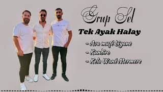 Grup Sel Tek Ayak  Yeni Halay 2024 [upl. by Anna-Maria]