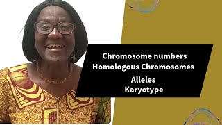 Chromosome Numbers Homologous Chromosomes Alleles [upl. by Margaretta]