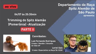 Trimming Spitz Alemão  Pomerânia Atualização Parte II [upl. by Kcirnek]