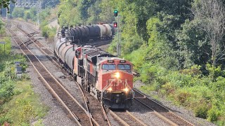 Tuesday Morning at Bayview Junction • September 17 2024 [upl. by Ahtibbat]