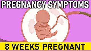 8 Weeks Pregnant  Pregnancy Symptoms [upl. by Bonns]