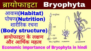 Bryophytaब्रायोफाइटा लक्षण और आर्थिक महत्व Economic importance of Bryophyta Biology in hindi [upl. by Giacopo113]