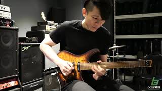 Strandberg Boden Standard 6 Trem Demo [upl. by Kcirdaed]