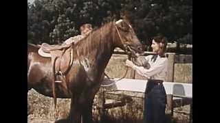 The Cisco Kid  Quarter Horse Full Length Episode Classic Western TV show [upl. by Birdt]