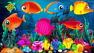 Fish Aquarium🐡🐳🐡 Peaceful Relaxing Under Sea💤❤Calming Under Water✨ [upl. by Amerak]