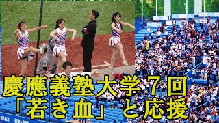 【①慶應義塾大学応援団チアリーダー】７回「若き血」と応援東京六大学野球春季リーグ対明大２回戦2024519（日）神宮球場 [upl. by Hildagard]