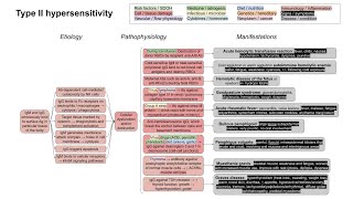 Type II hypersensitivity mechanism of disease with examples [upl. by Skoorb]