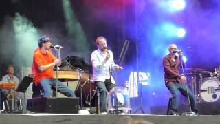 Die Fantastischen Vier  Mehr Nehmen Unplugged  live  Zurich Openair 2682012 [upl. by Armillia]