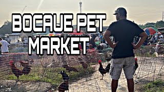 NAKABALIK DIN  BOCAUE PET MARKET  NOV 8 2024 [upl. by Kawai]