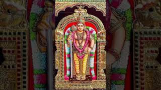 Murugan Thirupugazhai Vanda vinayum murugansongs murugan muruganthunai [upl. by Noonberg750]