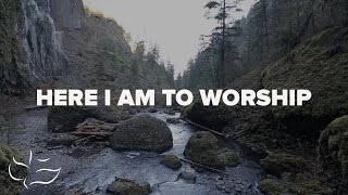 Here I Am To Worship  Maranatha Music Lyric Video [upl. by Normandy]