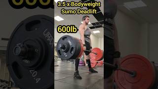 600lb Sumo Deadlift 35 x Bodyweight [upl. by Cally127]