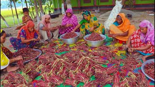 100 Pure VEGAN Recipe  100 KG Red Long Bean Mixed Vegetables Hodgepodge Cooking By Village Women [upl. by Ogata]