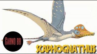 CONOCE AL SCAPHOGNATHUS  Pterosaurio  Carno bb [upl. by Siraved799]