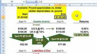 Foreign Exchange On balance sheet hedge [upl. by Tullusus]