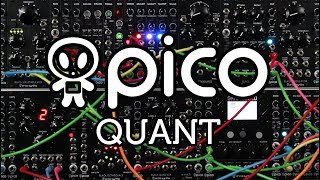 Erica Synths Pico Quantizer demo [upl. by Annaiv]