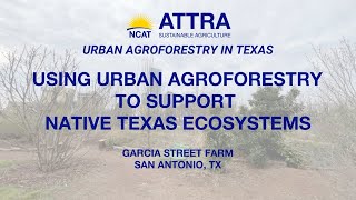 Using Urban Agroforestry to Support Native Texas Ecosystems [upl. by Hasty695]