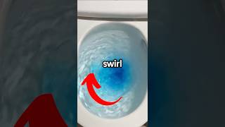 Do Toilets Swirl In The Opposite Direction In Australia [upl. by Ainola]